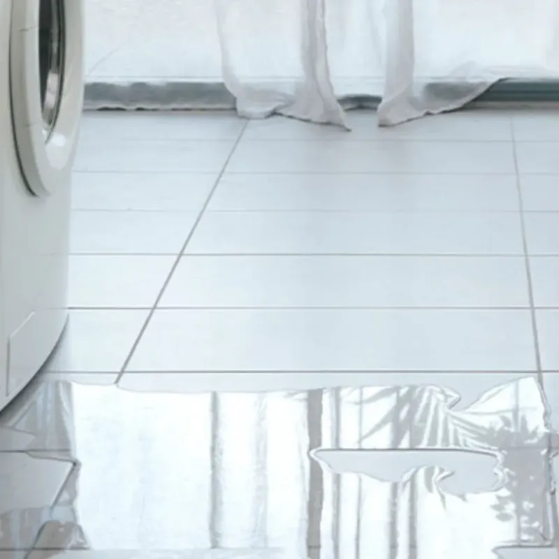 Appliance Leak Cleanup in Tempe, AZ